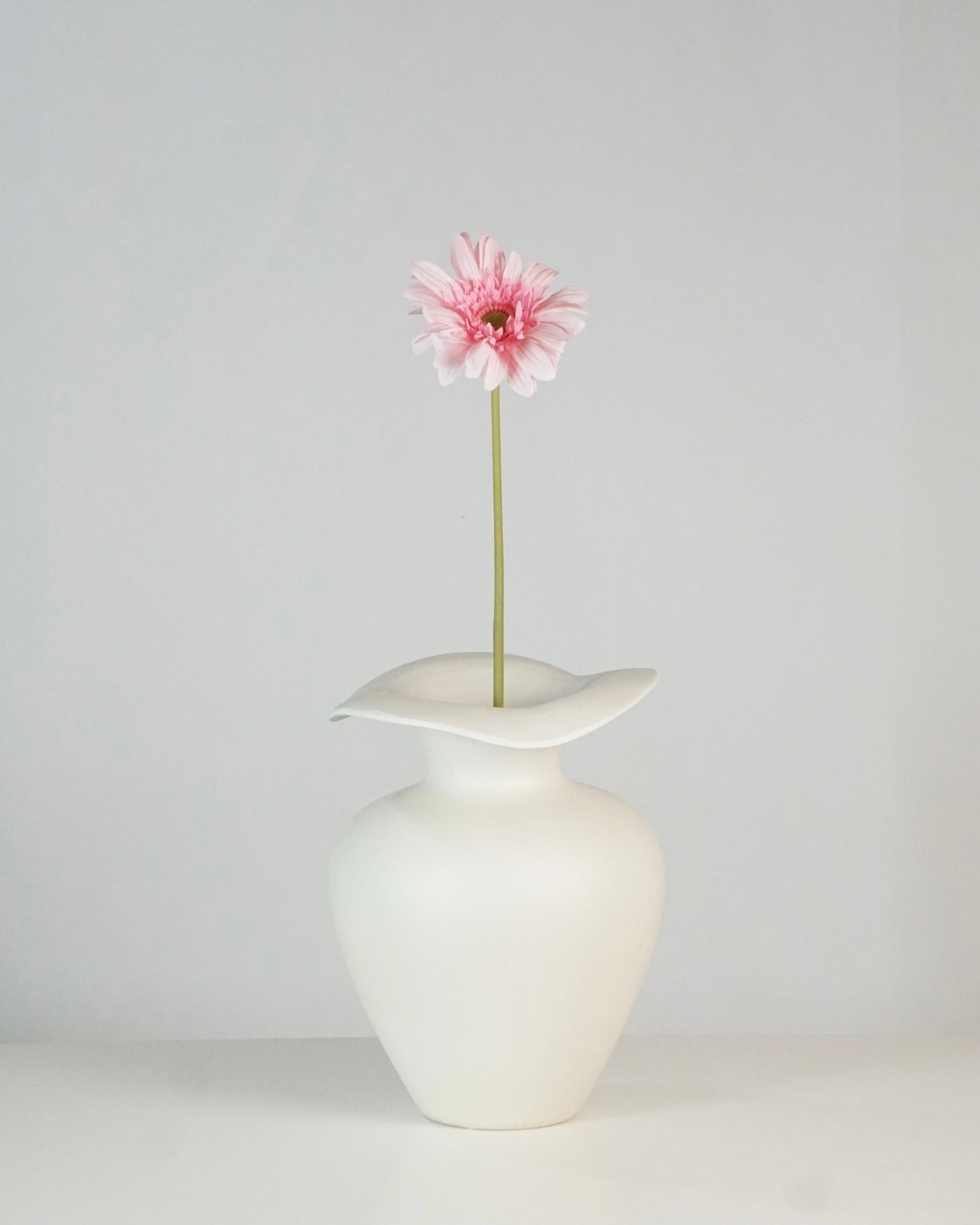 Gerbera Rosa