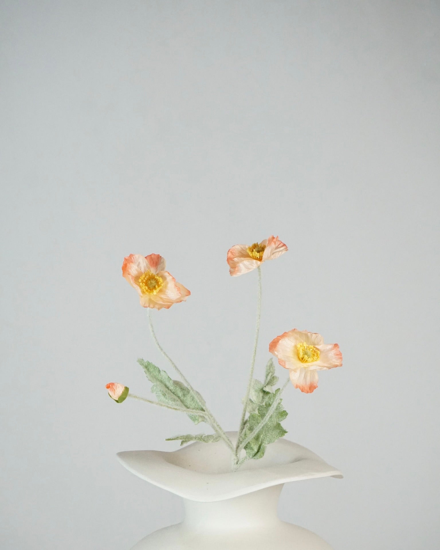 Poppy Apricot