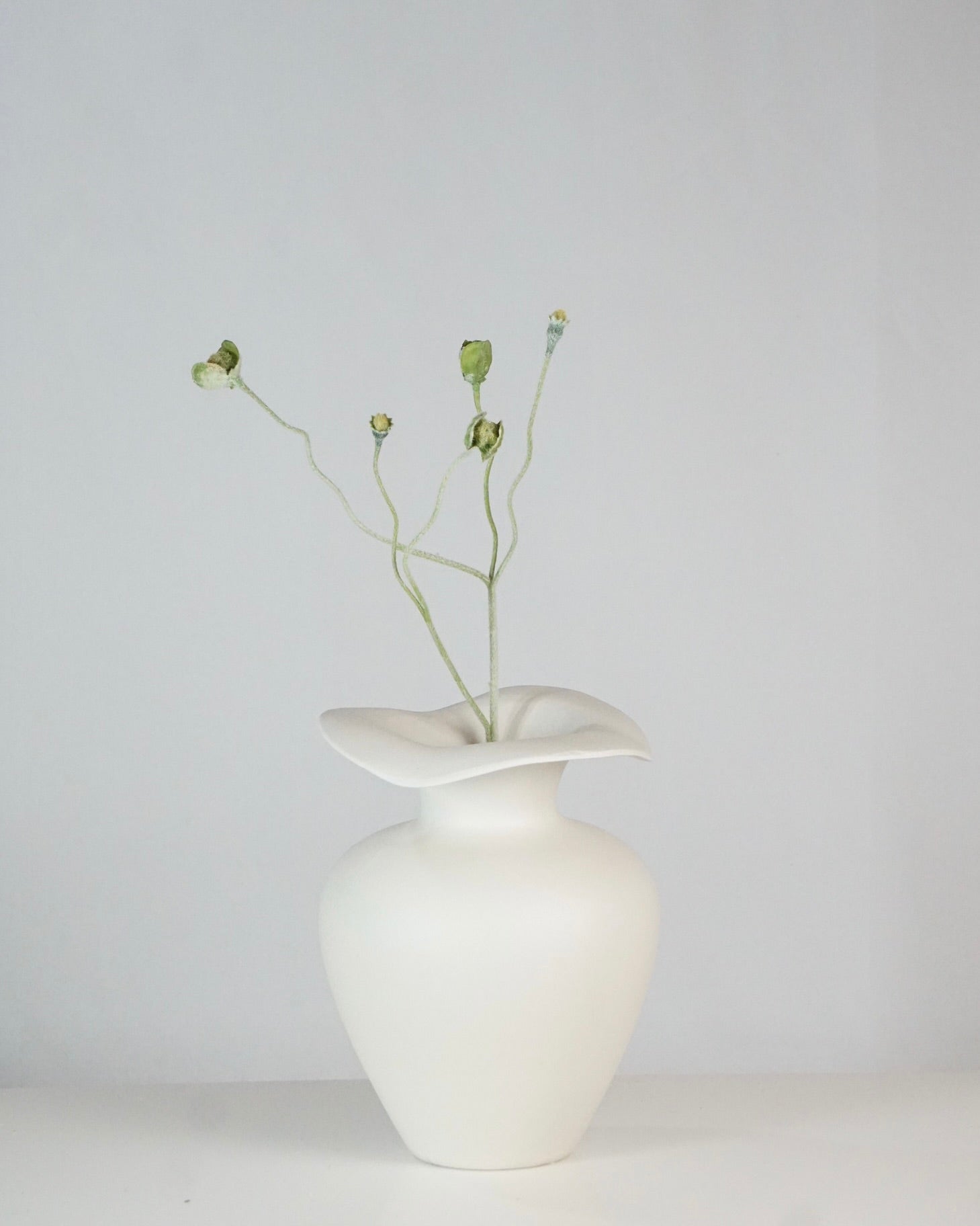 Poppy Bud