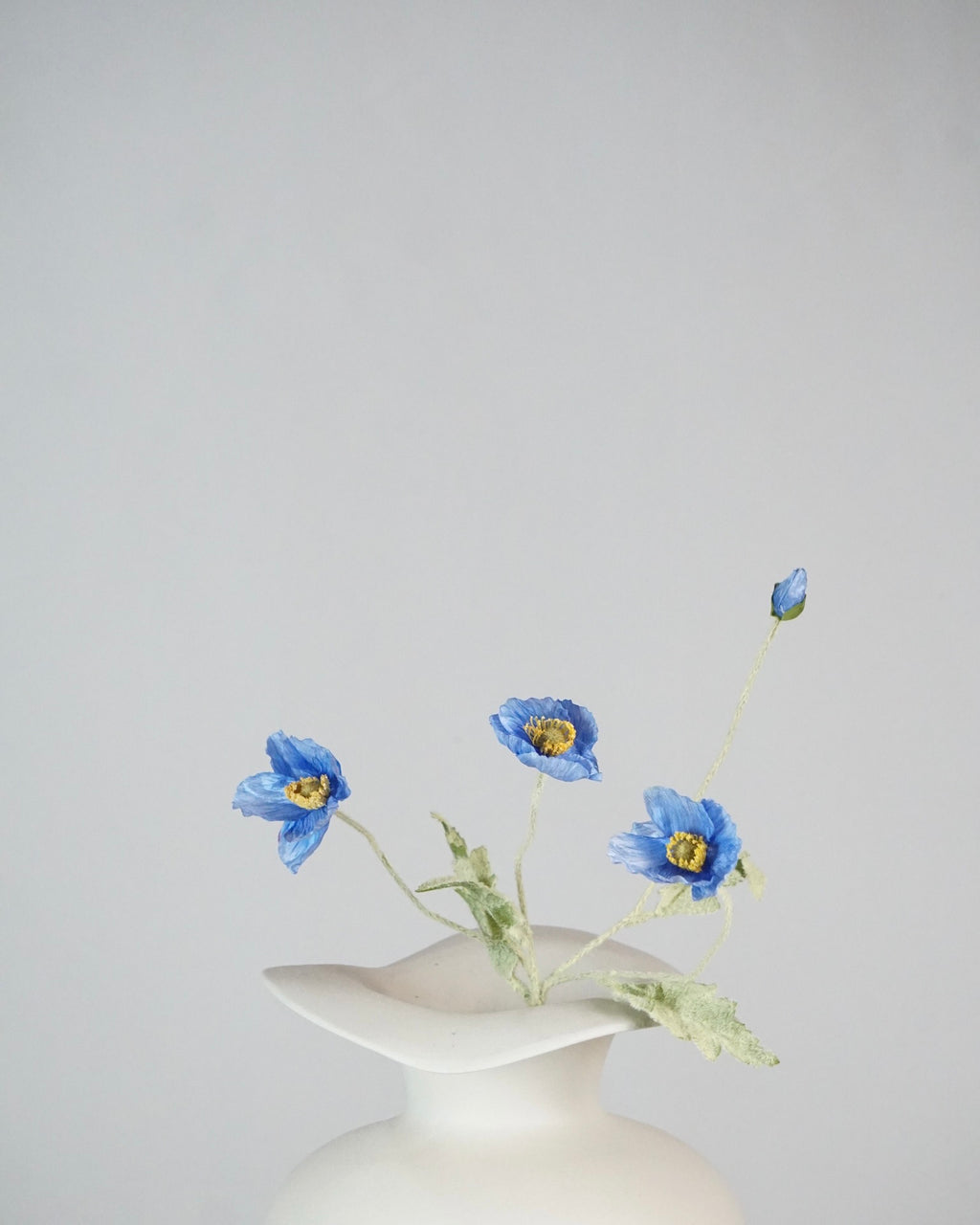 Poppy Blau