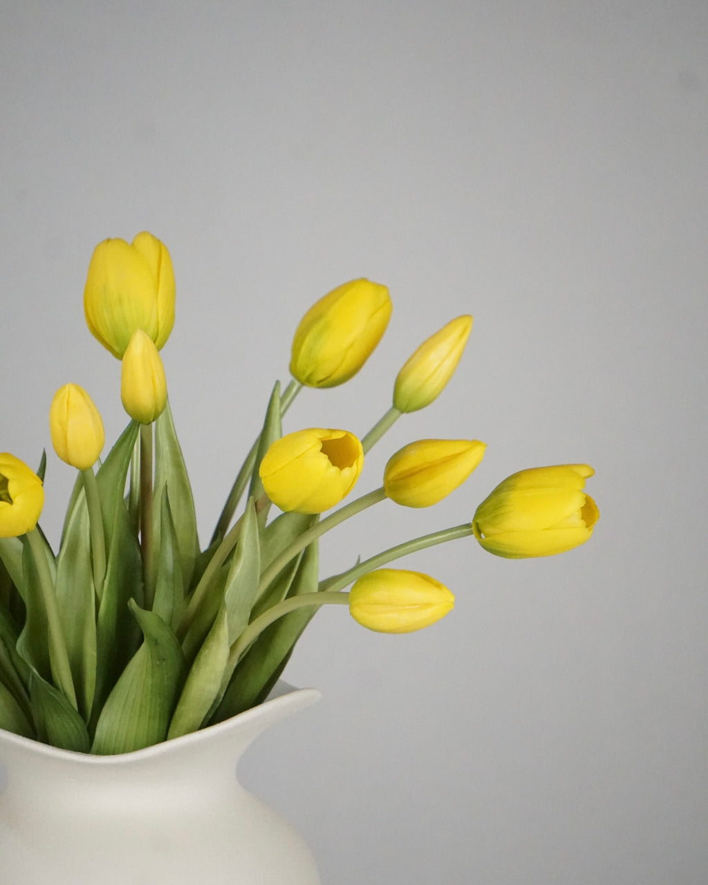 Tulpen Gelb